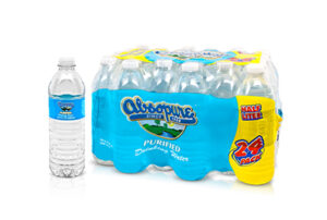 NATURAL DRINKING WATER (ABSOPURE) 24/.5 L