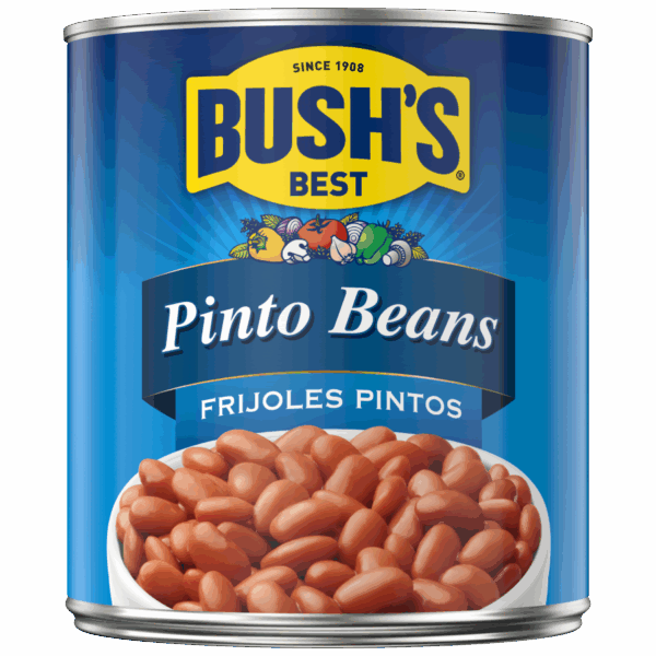 BUSH'S PINTO BEANS #10 CAN
